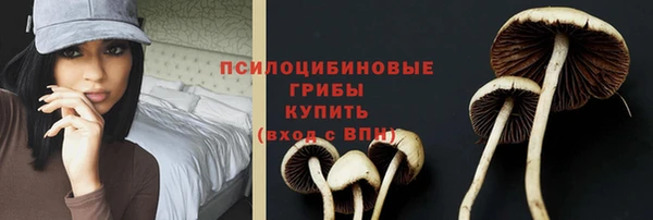 амф Нефтекумск