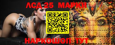 кокс Гай