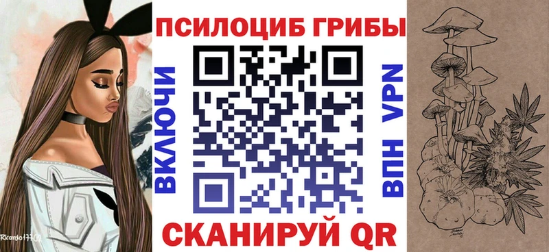 купить наркотик  Кызыл  Псилоцибиновые грибы GOLDEN TEACHER 