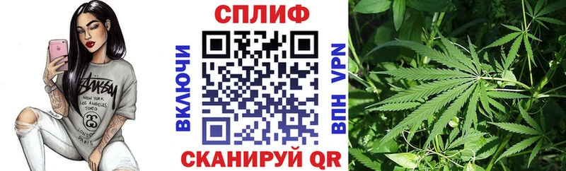 закладка  Кызыл  Бошки марихуана семена 